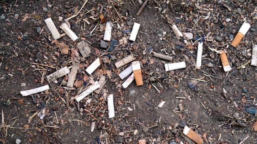 Cigarette butts littering the ground