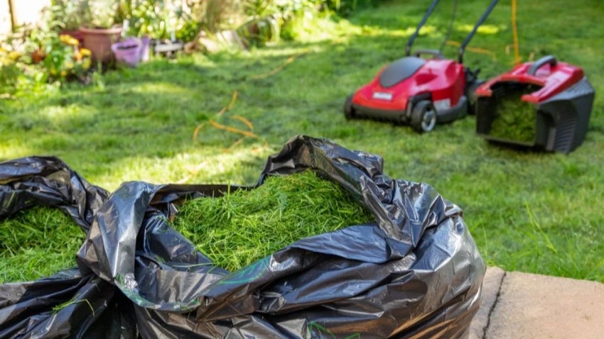Yard and garden with bagged lawn clippings
