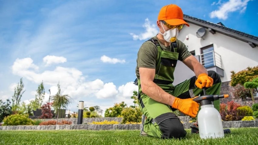 Gardner wearing safety mask and gloves using pesticides in a garden