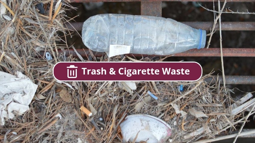 Trash and Cigarette Waste