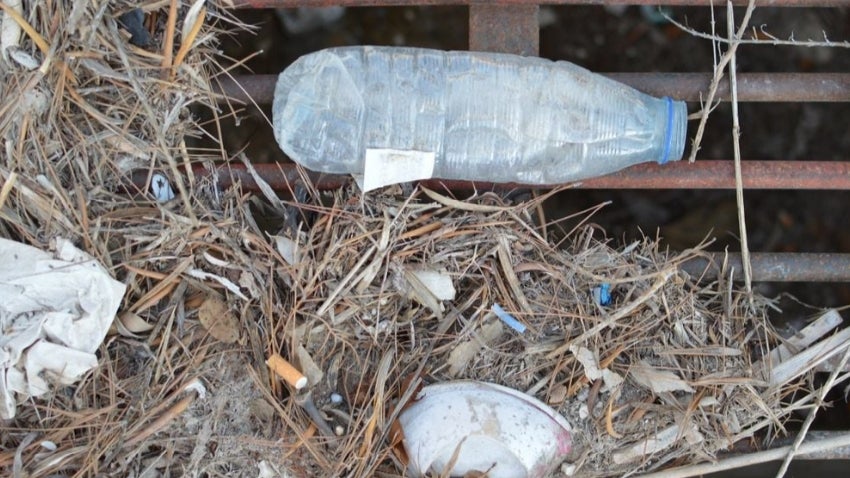 Trash and cigarettes in storm drain