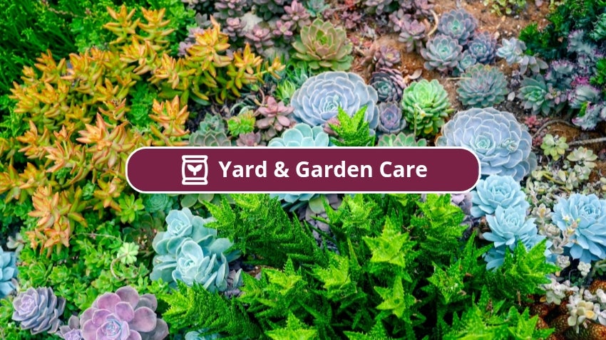 Yard and Garden Care
