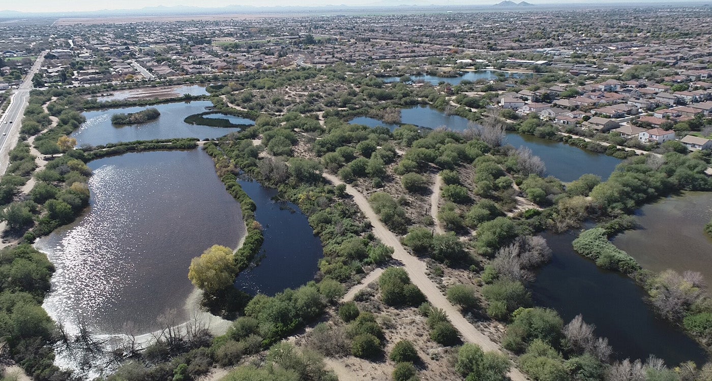 recharge basin in Chandler