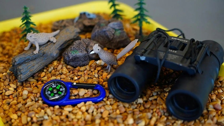 C-Town Camping Thumbnail