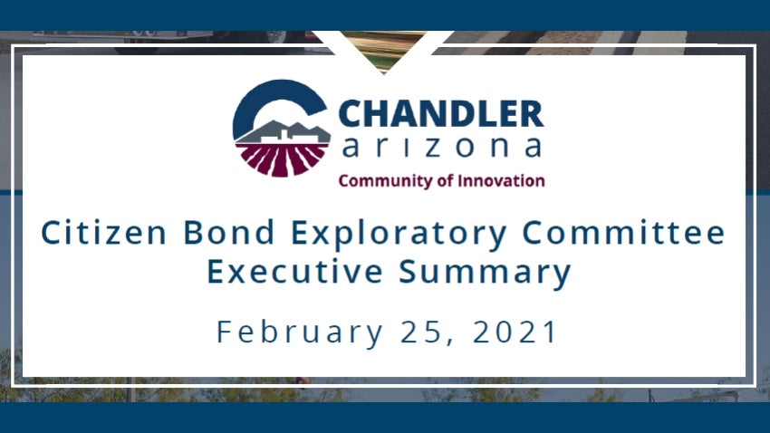 Citizen Bond Exploratory Committee Executive Summary