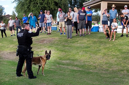 Chandler PD K-9 Unit demonstration at a GAIN event Chandler PD K-9 Unit demonstration at a GAIN event