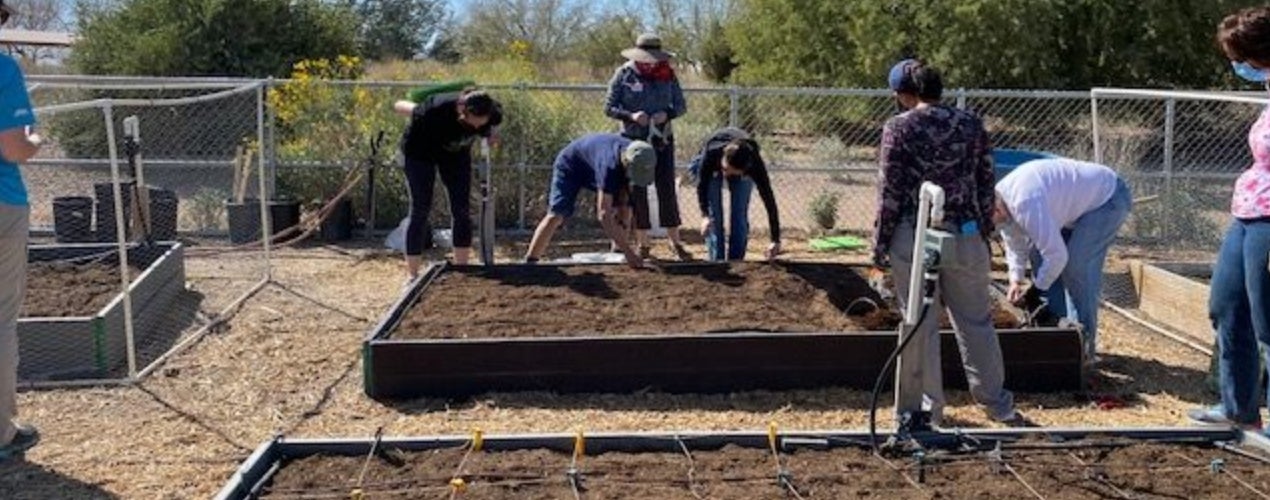 Community Garden at Veterans Oasis Park