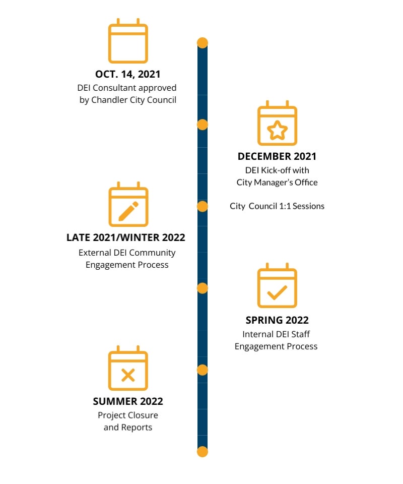 DEI Assessment Workflow