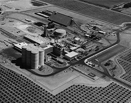 From Dirt to Dollars: Big Agriculture in Chandler From Dirt to Dollars: Big Agriculture in Chandler