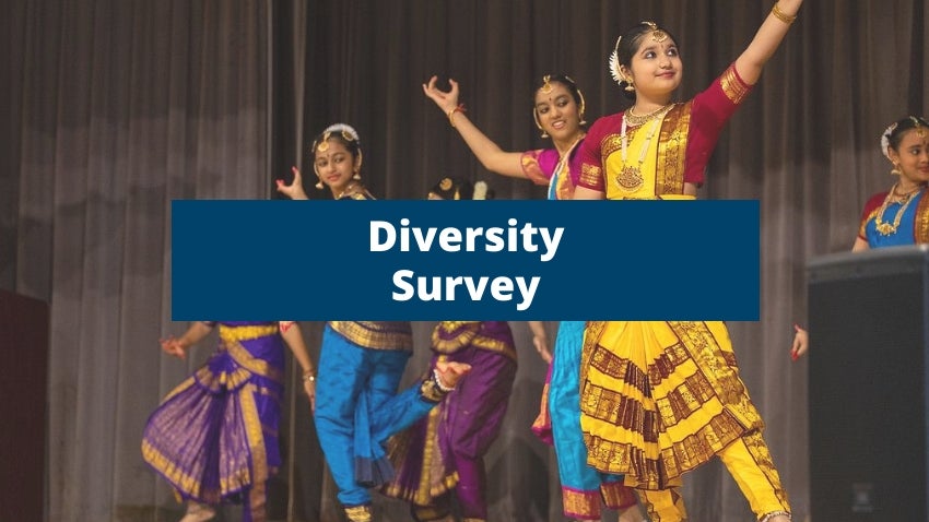 Diversity Survey