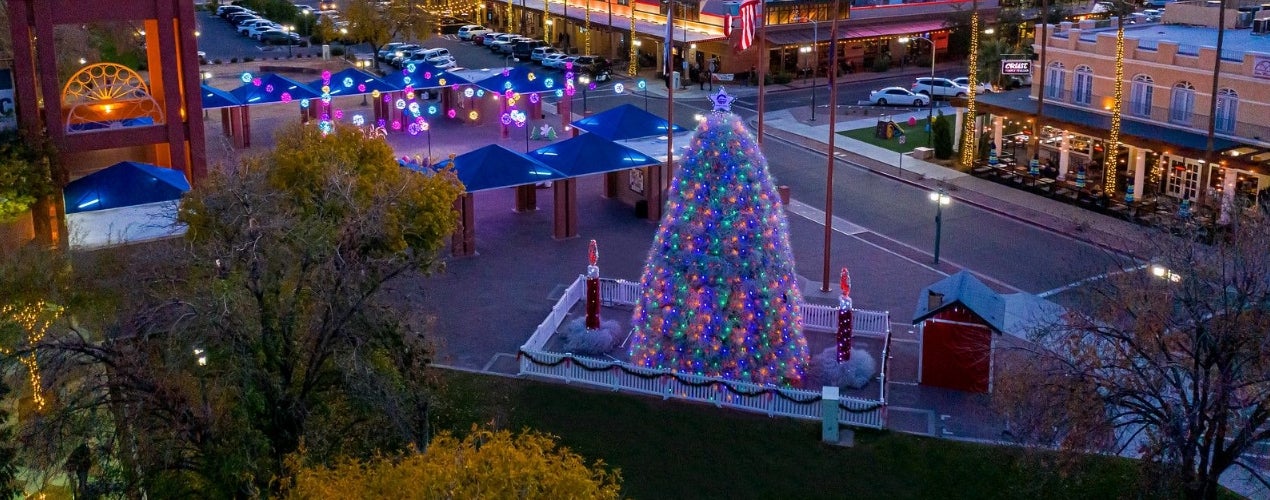 Tumbleweed Tree in Downtown Chandler