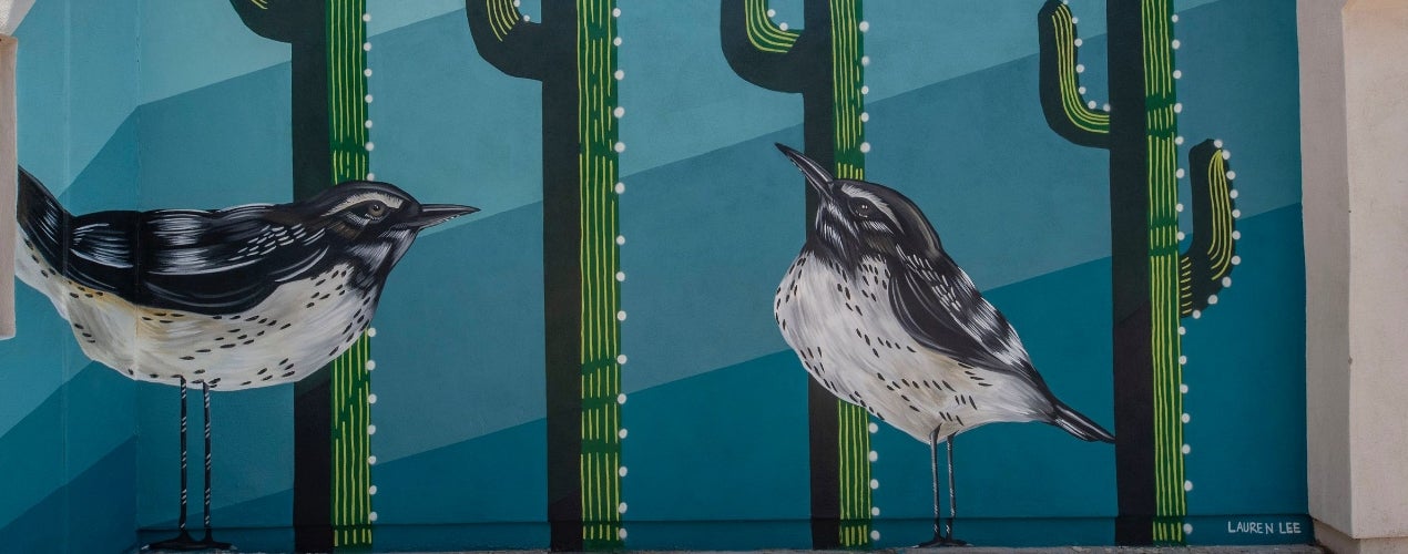 Downtown Chandler Mural Downtown Chandler Mural
