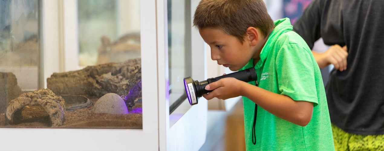 Exploring Reptiles at the EEC Exploring Reptiles at the EEC