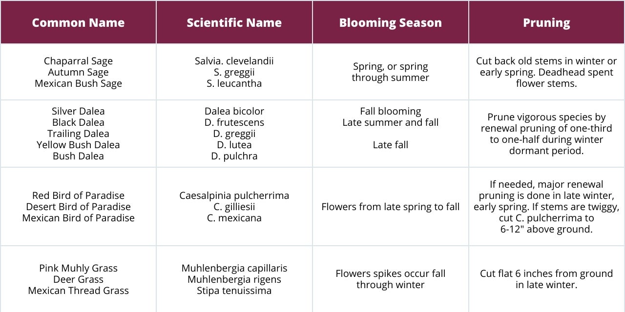 Fall and Winter Pruning