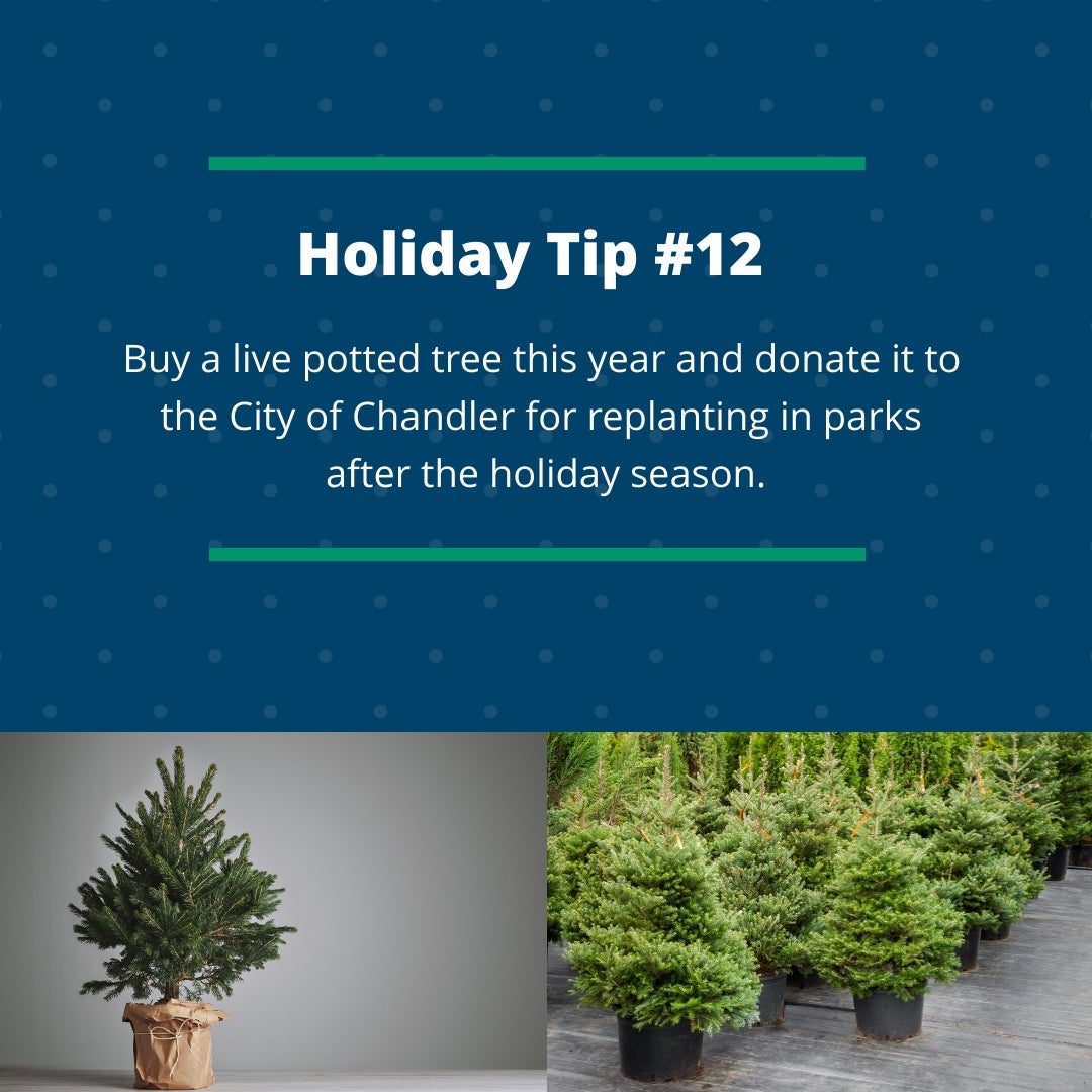 Holiday Tip #12