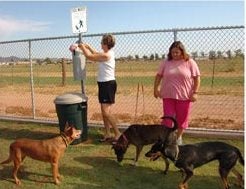 Dog owners picking up dog waste