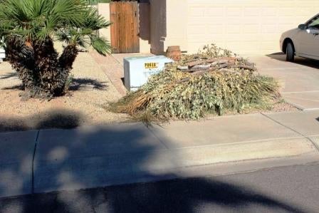 photo of greenery piled next to curb