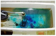 Toilet Leak Detection
