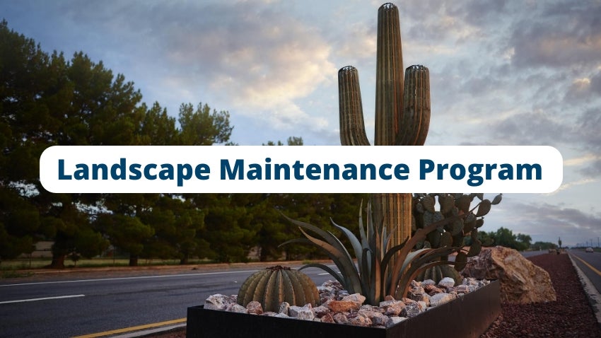 Landscape Maintenance Program