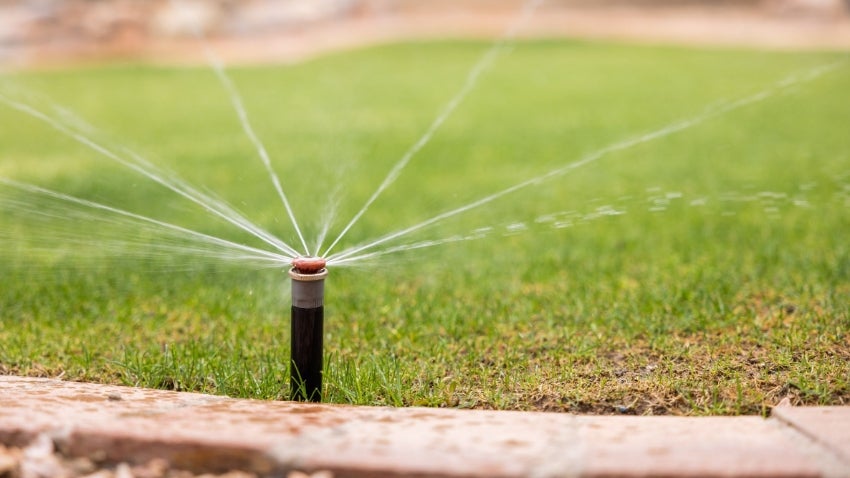 lawn with sprinklers watering the grass