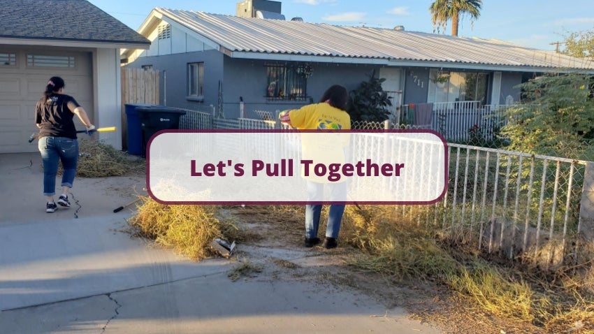 Let's Pull Together