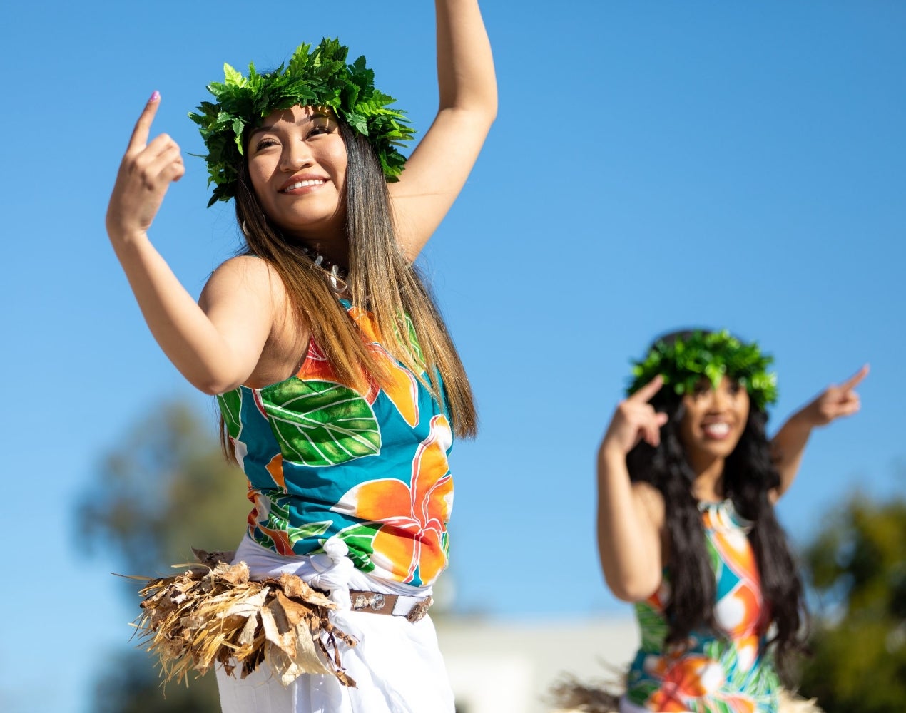 Luau Luau