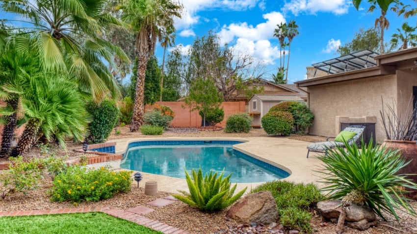 Backyard Swimming Pool with Trees