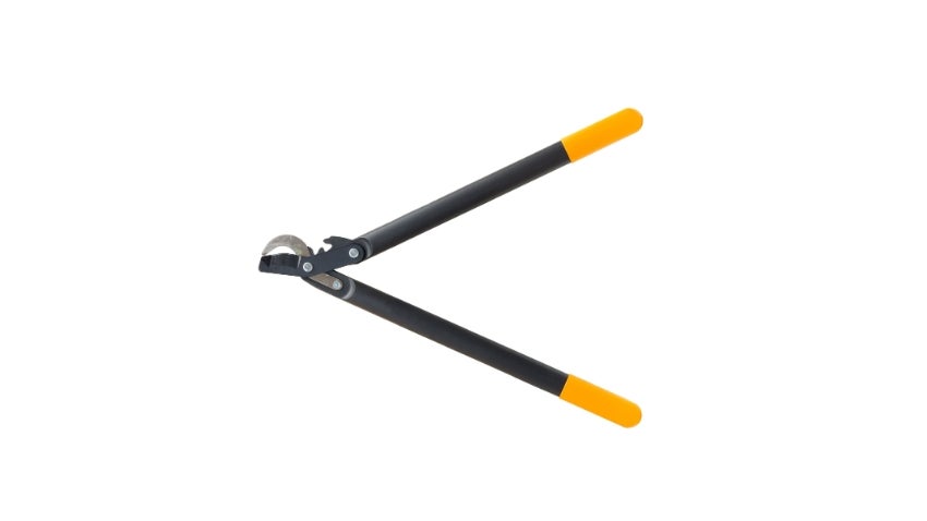 Pruning Lopper Pruning Lopper