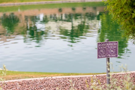 Look for the purple valve boxes, sprinkler heads and signs to know you're in an area Look for the purple valve boxes, sprinkler heads and signs to know you're in an area