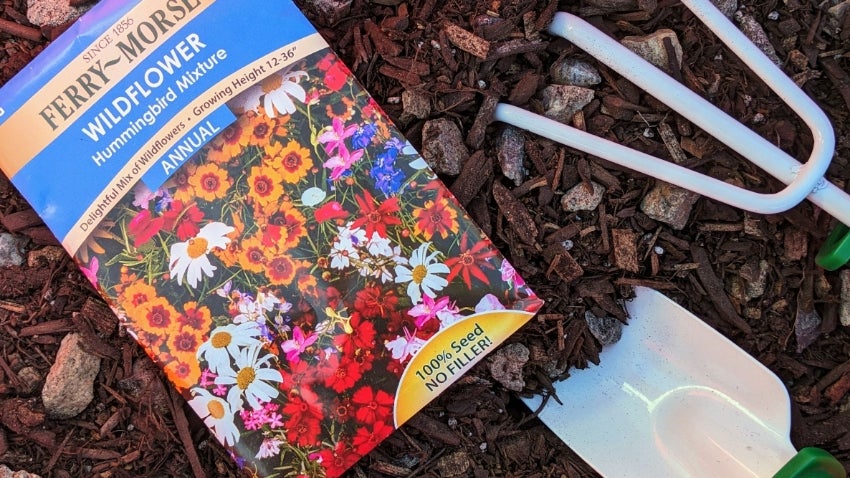Spring Break: Plant a Seed
