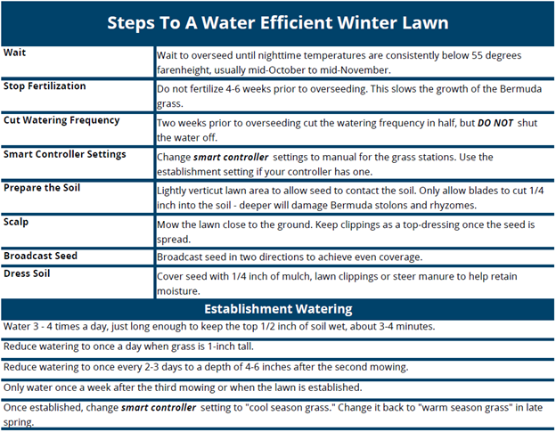 Steps to a Water Efficient Winter Lawn