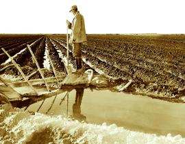 Farm-irrigation
