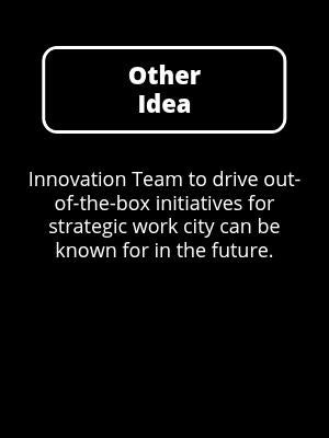 Other: Innovation Team