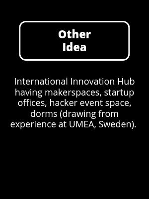 Other: International Innovation Hub