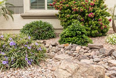 Chandler yard with xeriscape landscape