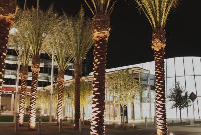 council-chambers-at-night
