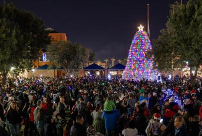 Tumbleweed Tree lit with LED lights surrounded by a crowd of people