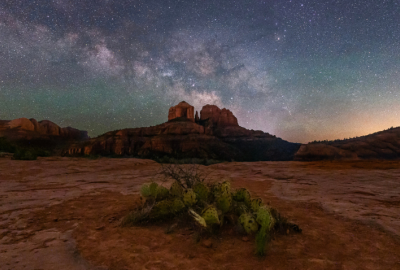 A prickly pear cactus in the foreground surrounded by desert. Cathedral Rock is on the horizon under a sky at dusk littered with stars.