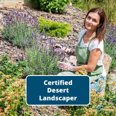 Certified Desert Landscaper