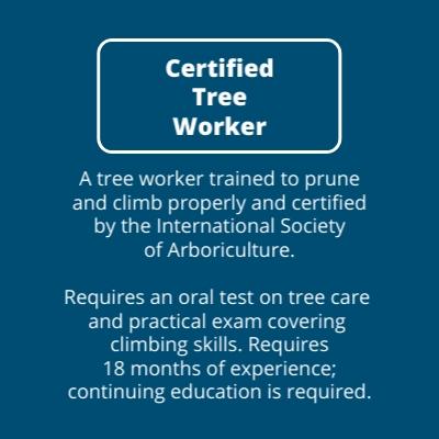 Certified Tree Worker Description