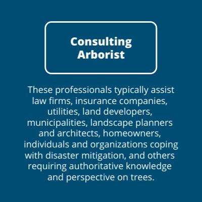 Consulting Arborist Description