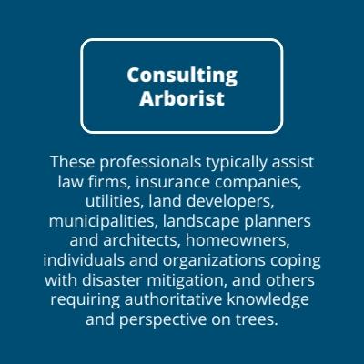 Consulting Arborist Description