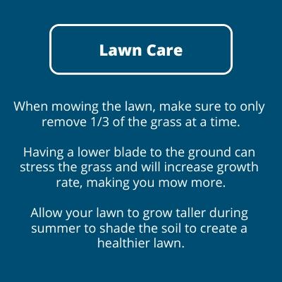 Lawn Care Description