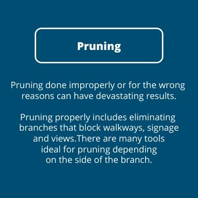 Pruning Description