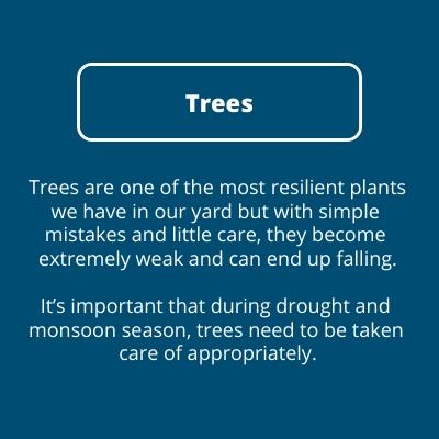 Trees