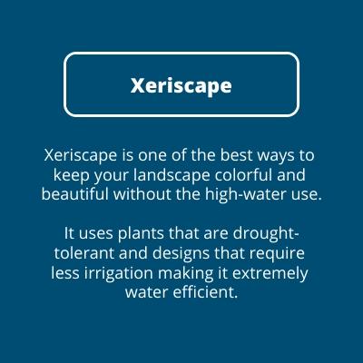 Xeriscape Description