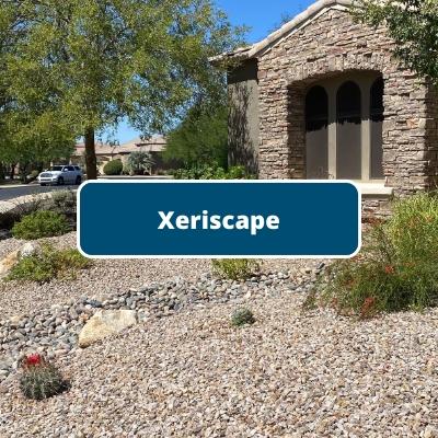 Xeriscape