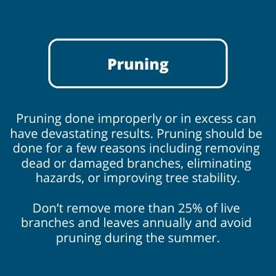Pruning Description