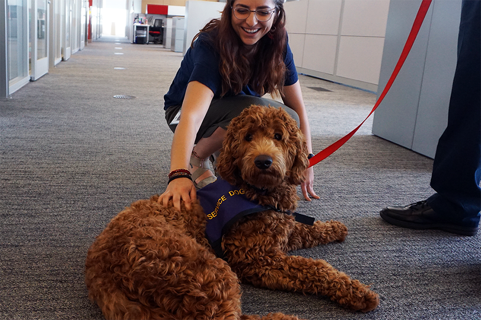 The Family Advocacy Center service dog (a Goldendoodle named Annie)