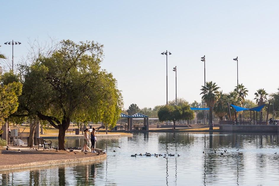 Arbor Day Donate a Living Tree to Your Community  City of Chandler